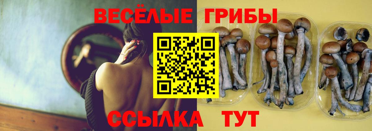 Галлюциногенные грибы прущие грибы  Псилоцибиновые грибы Psilocybine cubensis  магазин продажи наркотиков  Вход с VPN  Городец 